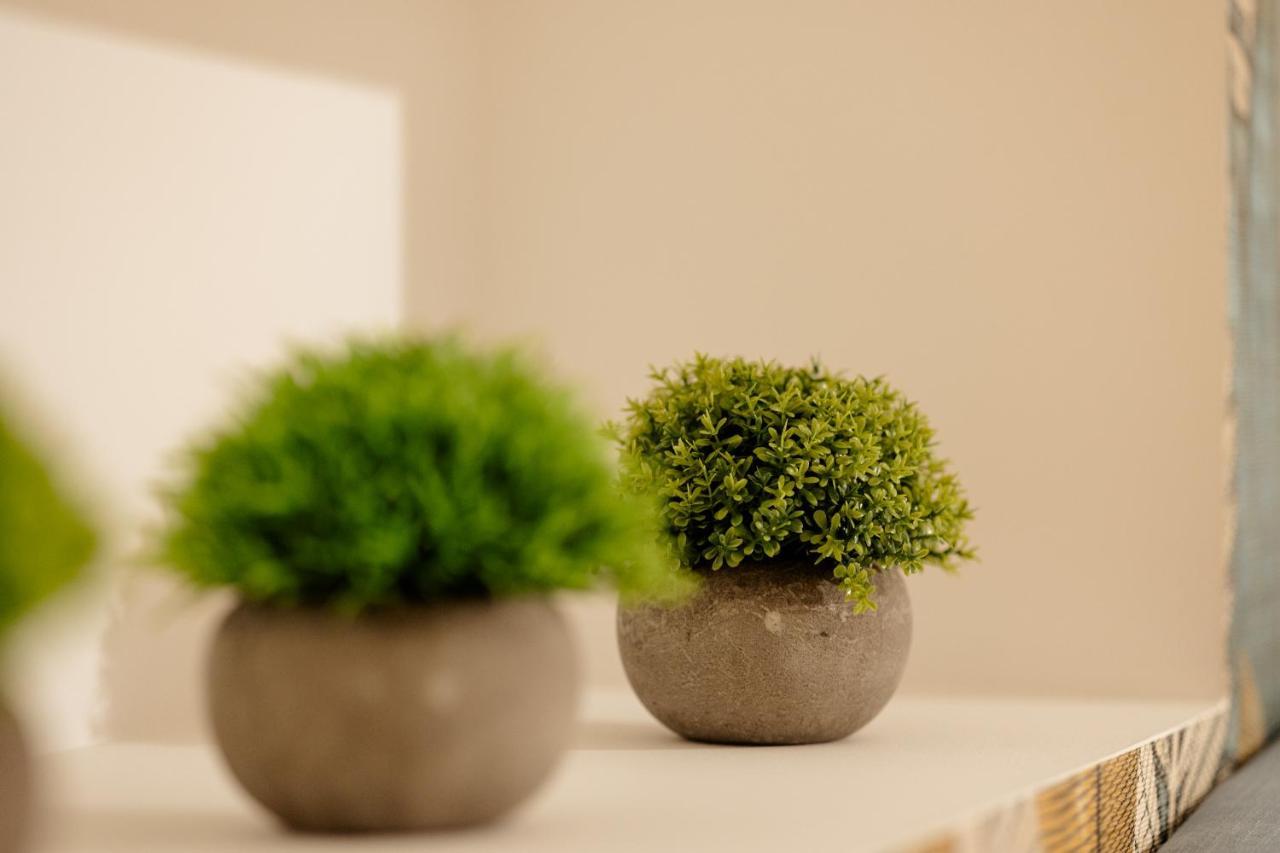 Apartament Debambu